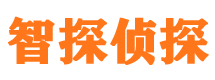 海东侦探公司